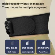 Vibratory Heat Massage Professional Waist Care
