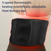 Vibratory Heat Massage Professional Waist Care